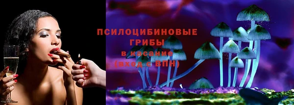 гидропоника Белоозёрский