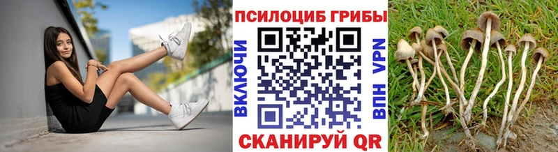мориарти как зайти  Крымск  Псилоцибиновые грибы ЛСД 